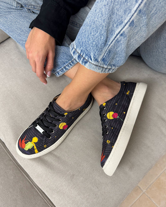 El Principito y las Estrellas